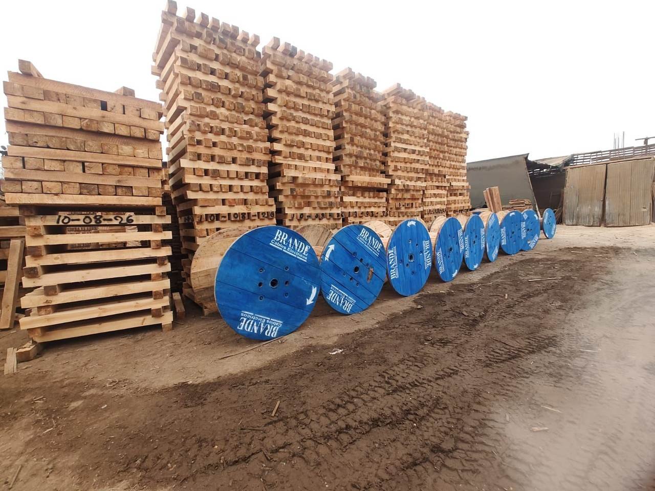 Madera Bolayna